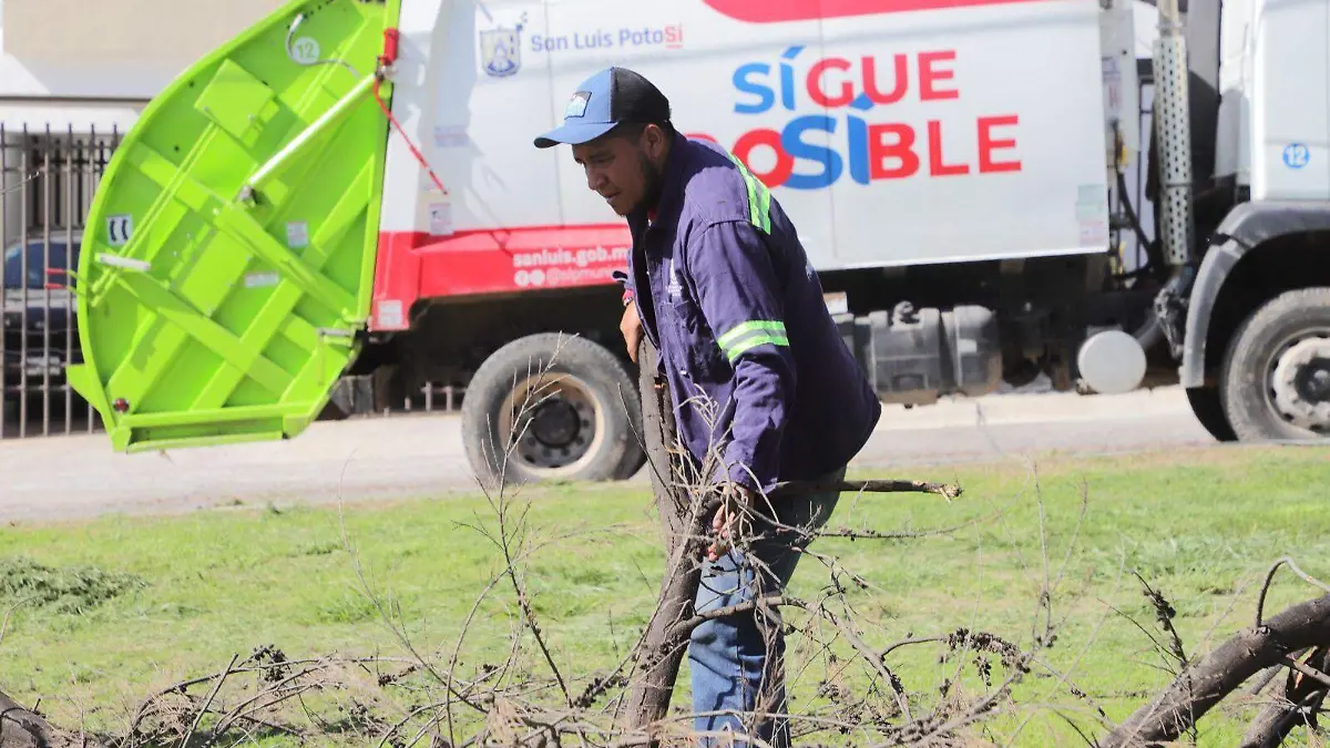 Domingo de pilas col Rinconada (5)